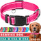 TECEUM Reflective Pet Collar – Hot Pink – L – Basic Nylon Dog Collar – Quick Release Buckle – Fits Small, Medium and Large Dogs, Puppies, Cats – E...