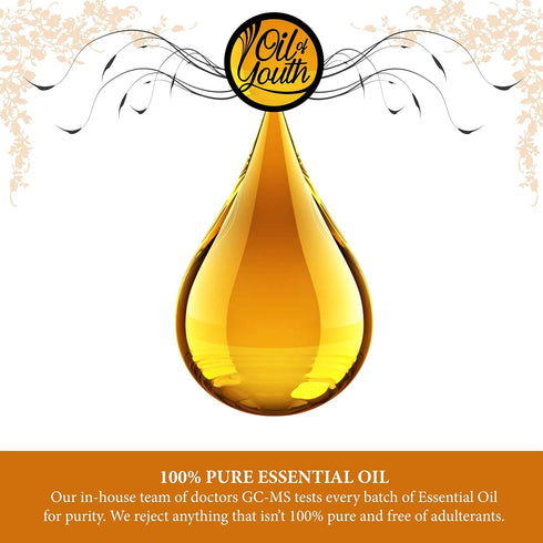 Oil of Youth 4 Ounce Bulk Breathe Blend Essential Oil - Therapeutic Grade - Pure & Natural...