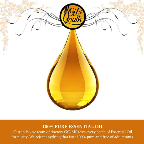 Oil of Youth Essential Oils 8oz - Lemongrass Essential Oil - 8 Fluid Ounces - Lemongrass Oil - Aromatherapy Oils - Lemongrass Essential Oil for Di...