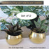 Birchwood & Moss Air Plant Pots Set of 2 - Mini 3in Gold Planter Pots for Indoor Plants, Brass Plant Holder Succulent Cactus Pot Air Plants Frame ...