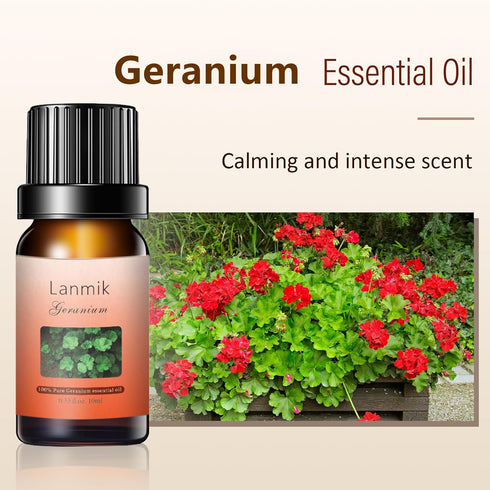 2 Pack 100% Natural Pure Geranium Essential Oils Undiluted Geranium Oils for Aromatherapy Diffuser (0.33 Fl Oz 2 Pack)...