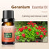 2 Pack 100% Natural Pure Geranium Essential Oils Undiluted Geranium Oils for Aromatherapy Diffuser (0.33 Fl Oz 2 Pack)...