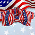 Elegant little tail Independence Day Dog Collar, Holiday Pet Collar with Bow Dog Durable Patriotic Dog Collars Pet Gift Adjustable Dog Collar for ...