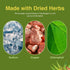 Herbs Etc. ChlorOxygen Chlorophyll Concentrate - Highly-Concentrated Energy Support - Aids Healthy Blood Circulation - Natural Vitality Support - ...