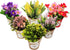 LUEUR Set of 6 Potted Artificial Flowers Fake Flowers with Vase Faux Flowers in Pot, Spring Decor for Home Office Floral Arrangement for Table Din...