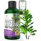 Professional Liquid Fiddle Leaf Fig Plant Fertilizer | 3-1-2 Concentrate for House Plants | Multi-Purpose Blend & Gardening Supplies | 8 oz Bottle...