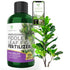Professional Liquid Fiddle Leaf Fig Plant Fertilizer | 3-1-2 Concentrate for House Plants | Multi-Purpose Blend & Gardening Supplies | 8 oz Bottle...