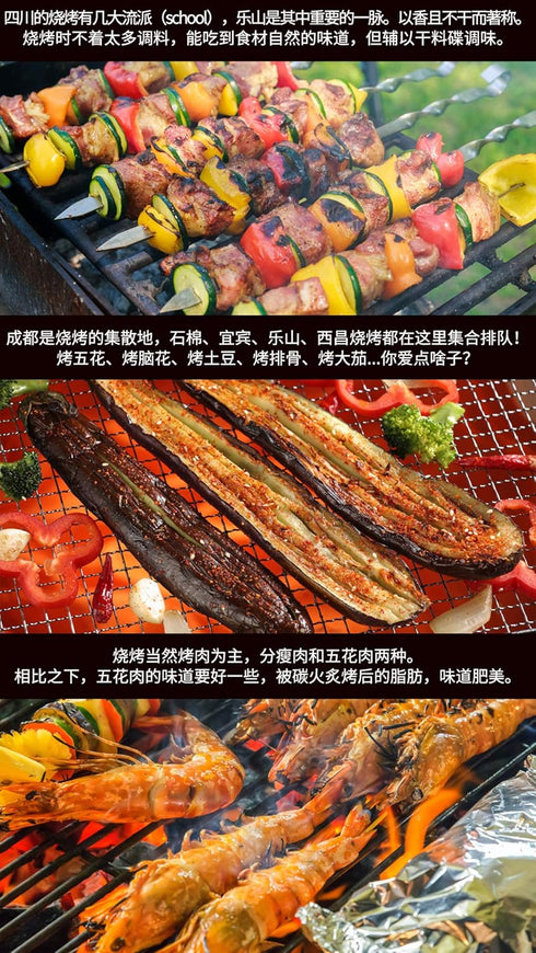 Chinese BBQ powder, Barbecue Grill Seasoning 15.87oz/450g Original imported of sichuan, china...