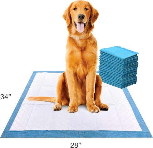 Four Paws Wee-Wee Superior Performance XL Pee Pads for Extra Large Dogs, Leak-Proof Floor Protection Dog & Puppy Quilted Potty Training Pads, Unsc...