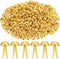 500 Pieces Paper Brass Fasteners Brass Brads Round Fasteners for Kids Craft Art Crafting School Project Decorative Scrapbooking DIY Supplies(Golde...