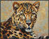 Posterizer 1 pcs- pretty leopard-fancy background-Art for Animal Lovers-Landscape & Nature Art- Living Room Bedroom Decor- unframed wall art...