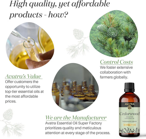 Avatra Cedarwood Essential Oil for Hair, Skin & Aromatherapy | Natural Oil for Diffuser, Soap & Candle Making | Premium Grade with Glass Dropper |...