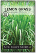 Sow Right Seeds - Insect & Pest Repellent Seed Collection for Planting - Lavender, Catnip, Marigold, Hyssop & Lemon Grass - 5 Packets with Instruc...