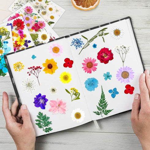 153 Pcs Dried Pressed Flowers for Crafts, Real Pressed Wildflowers Natural Dry Leaves Bulk with Tweezer for Epoxy Resin Jewelry Molds, Candle Soap...
