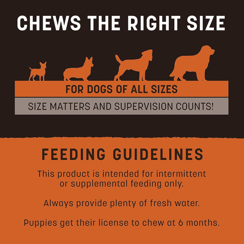 Earth Animal No Hide Strips Pumpkin Spice Flavored Vegetarian Natural Treats | No Rawhide | Quick & Thin Dog Chews | 1 Pack, 4 Count...