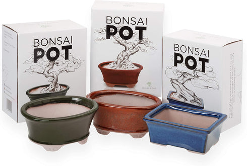 Glazed Ceramic Bonsai Pot - Decorative Planter for Dwarf Trees, Succulents, and Small Plants - Perfect for Indoor and Outdoor Gardens, Table Cente...