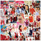 55pcs High School Musical Stickers Decals for Laptops Water Bottles Toys and Gifts for Teens,Girls,Perfect for Laptop,Phone,Skateboard,Travel...