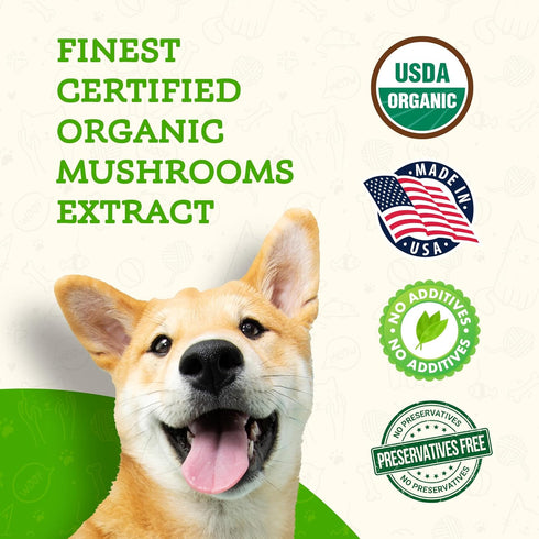 Animal Essentials FOCUS Lions Mane Mushroom Supplement for Dogs & Cats - Supports Brain Health, Cognitive Function, Healthy Immune Response, Mushr...