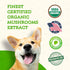 Animal Essentials FOCUS Lions Mane Mushroom Supplement for Dogs & Cats - Supports Brain Health, Cognitive Function, Healthy Immune Response, Mushr...