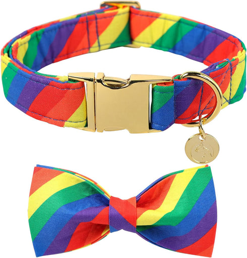Rainbow Flag Dog Collar Gay Pride Stuff for Parade, DOGWONG LGBTQ Flags Equality Pet Apparel Decor Gift and LGBT Ally Accessories...