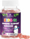 Immune Support Gummies for Kids & Toddler with Vitamin C, Zinc & Echinacea, Daily Childrens Immune Support Gummy Vitamins for Kids Ages 4 and Up, ...