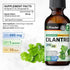 BIO KRAUTER Cilantro Supplement - Rich Source of Antioxidants - Natural Cleansing & Detox Cilantro Tincture - Vegan, Alcohol Free Drops 2 Fl. Oz....