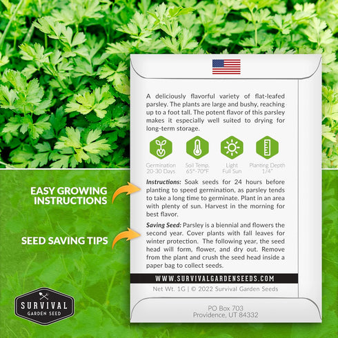Survival Garden Seeds - Giant of Italy Parsley Seed for Planting - Packet with Instructions to Plant and Grow Italian Flat Leaf Parsley Herbs in Y...