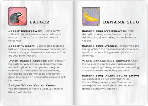 Em & Friends Animal Allies Oracle Deck by Jessica Swift: A Magical 50-Card Oracle Deck with Guidebook...
