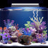 Faeshoo Fish Tank Decoration Betta Fish Tank Decorations Accessories for Aquarium Tank, Starfish Barrel x 1pc, Aquatic Plants x 4pcs...