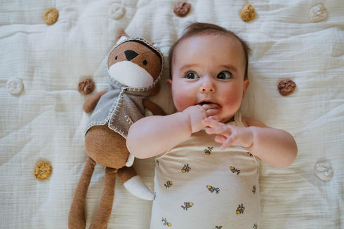 Crane Baby Toys for Boys and Girls, Comforting Plush Stuffed Animal, Frankie The Fox...