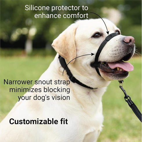 SVD.PET No-Pull Dog Headcollar for Easier Walks, Chew-proof protector to Increase Comfort, Simple Design, Easy to Wear and adjust (Medium size for...