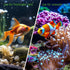 Aquarium Hideaway Rock Cave for Aquatic Pets to Breed, Play and Rest, Safe and Non-Toxic Ceramic Fish Tank Ornaments, Decor Stone for Betta...