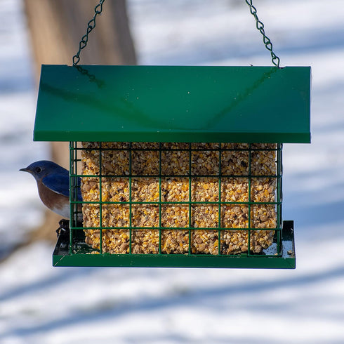 C&S Wild Bird EZ Fill Deluxe Single Snak/Suet Feeder with Roof & Platform...