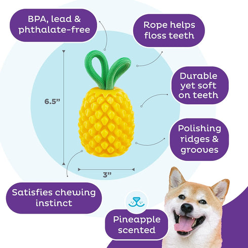 Outward Hound Dental Pineapple Dental Chew Toy and Interactive Treat Stuffer Durable Dog Toy Stuffable Dog Toy, Yellow...