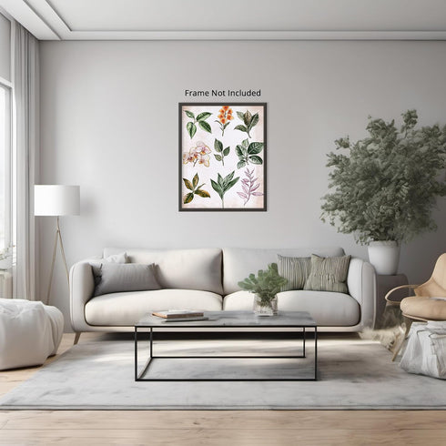 Posterizer 1 pcs-botanical illustration of a variaty of plants-educational art 2-Floral & Botanical Art Gift for Men Women Entrepreneur Teens Dec...