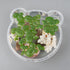 Framendino, 54 Pack Floating Aquarium Plants Artificial Plastic Fake Duckweed Simulation Floating Plants (3 Size)...