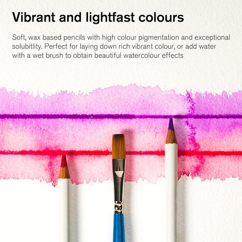 Winsor & Newton Studio Collection Artist Pencils, Watercolor Pencils, Set of 12...