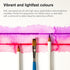 Winsor & Newton Studio Collection Artist Pencils, Watercolor Pencils, Set of 12...