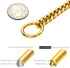 18K Gold Chain Dog Collar 10MM Cuban Link Chain Stainless Steel Metal Links Walking Training Collar for Small Medium Large Dogs 10in to 30in...