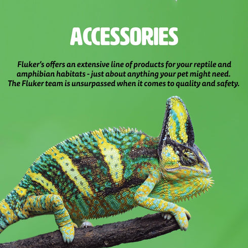 Fluker's Food and Water Reptile Corner Bowl, Small 4"...