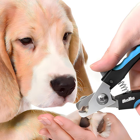 Dog & Cat Nail Clippers, Pet Nail Clipper and Trimmer with Safety Guard to Prevent Over Cutting, Grooming Razor Sharp Blades with Nail File for Sm...