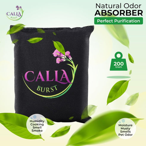 Bamboo Charcoal Air Purifier Bags - Odor Absorber & Eliminator for Home, Car, Pets, Activated Charcoal Natural Freshener, Eco-Friendly & Reusable ...