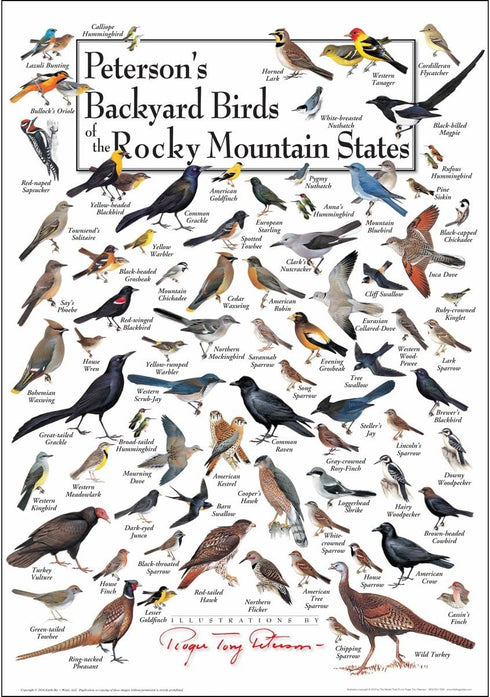 Earth Sky + Water - Peterson’s Backyard Birds of the Rocky Mountain States - Poster...