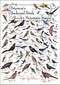 Earth Sky + Water - Peterson’s Backyard Birds of the Rocky Mountain States - Poster...
