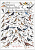 Earth Sky + Water - Peterson’s Backyard Birds of the Rocky Mountain States - Poster...