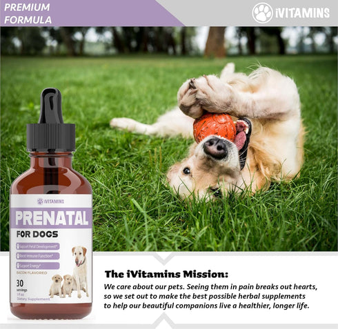 Dog Prenatal Vitamins | Prenatal Vitamins for Dogs | Includes Vitamin B Complex & Vitamin C | Dog Essentials | Whelping Supplies | Prenatal Dog Vi...