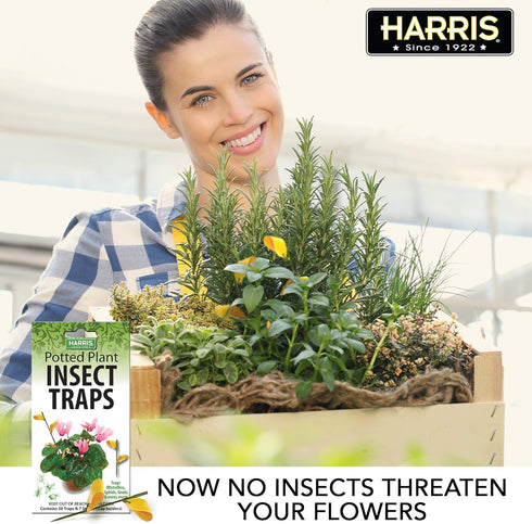 Harris Potted Plant Insect Traps for Gnats, Aphids, Whiteflies and More (30 Traps, 7 Stakes)...