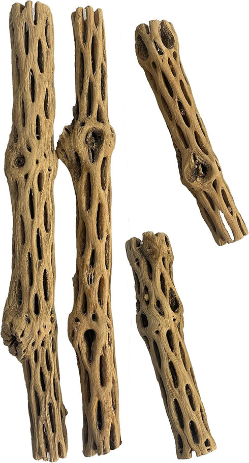 Awesome Aquatic Natural Cholla Choya Wood Combo 4 Pieces 2-12" & 2-6” Habitat for Shrimp Hermit Crabs Plecos Reptiles Aquarium Driftwood Decoratio...