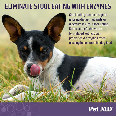 Pet MD Stool Eating Deterrent - Prevent Dog from Eating Poop - Coprophagia Aversion with Enzymes, Herbs, & Prebiotics for Digestive Support & Fres...
