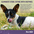 Pet MD Stool Eating Deterrent - Prevent Dog from Eating Poop - Coprophagia Aversion with Enzymes, Herbs, & Prebiotics for Digestive Support & Fres...